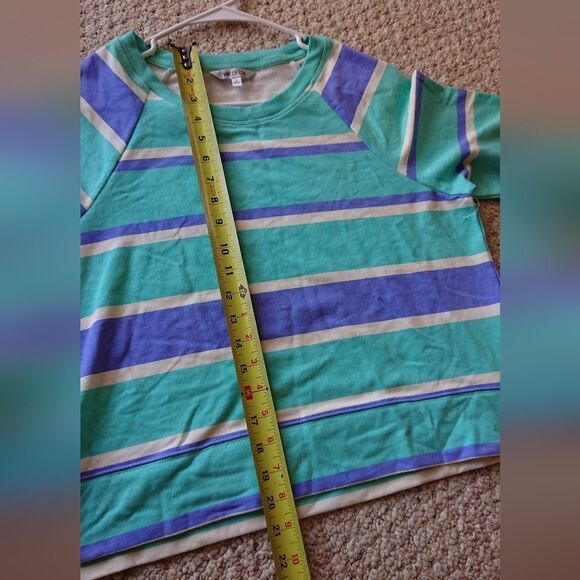 WILDFOX Blue Stripe Sweatshirt size S - Picture 8 of 12